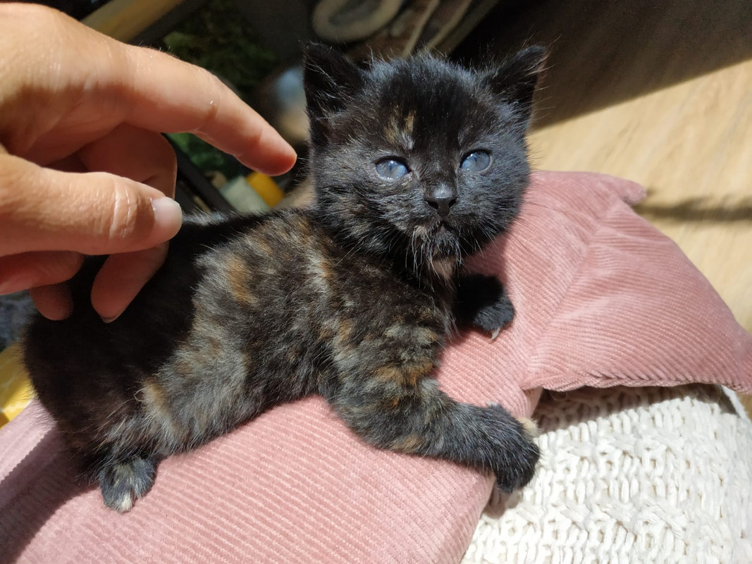 66E53194-0035-4A3A-8880-9CF74C3208F5