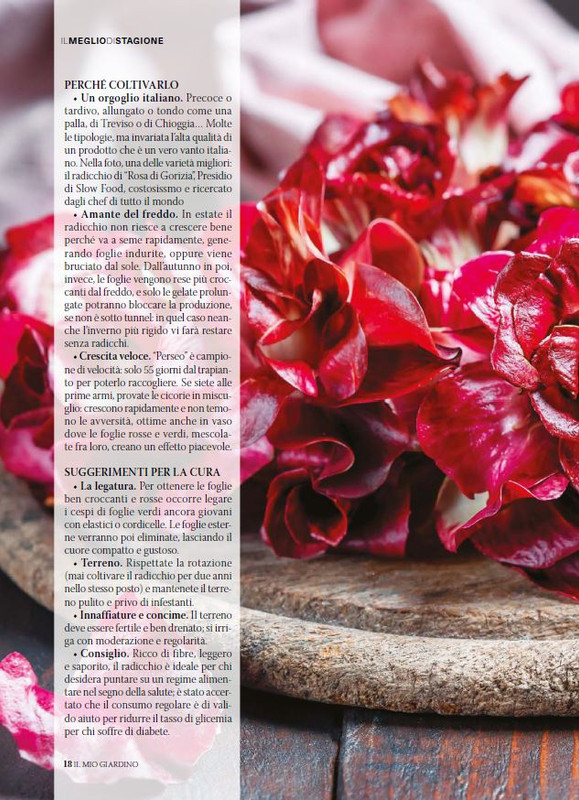 il mio Giar Feb-Mar 2025 (1)