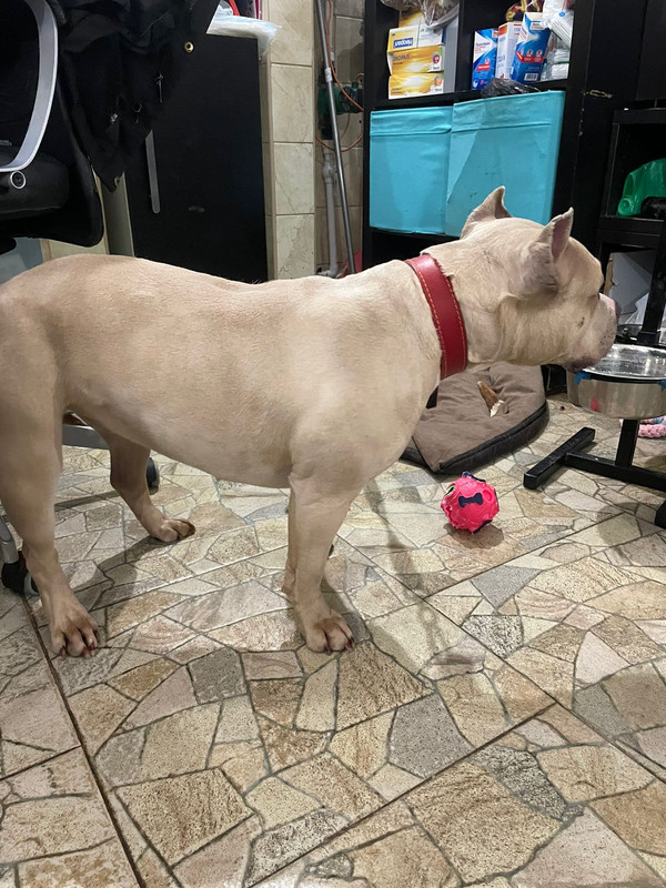 WhatsApp Image 2024-02-04 at 19.59.43 (1)