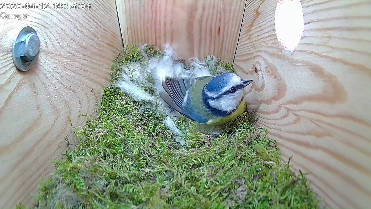 98853E60-9017-4A4B-9BB9-9E98F3BBE8C2