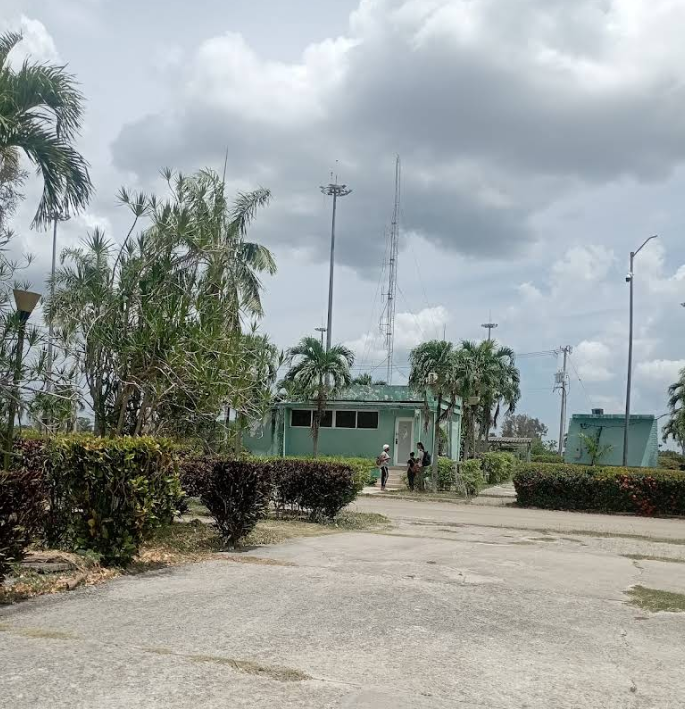 �����������