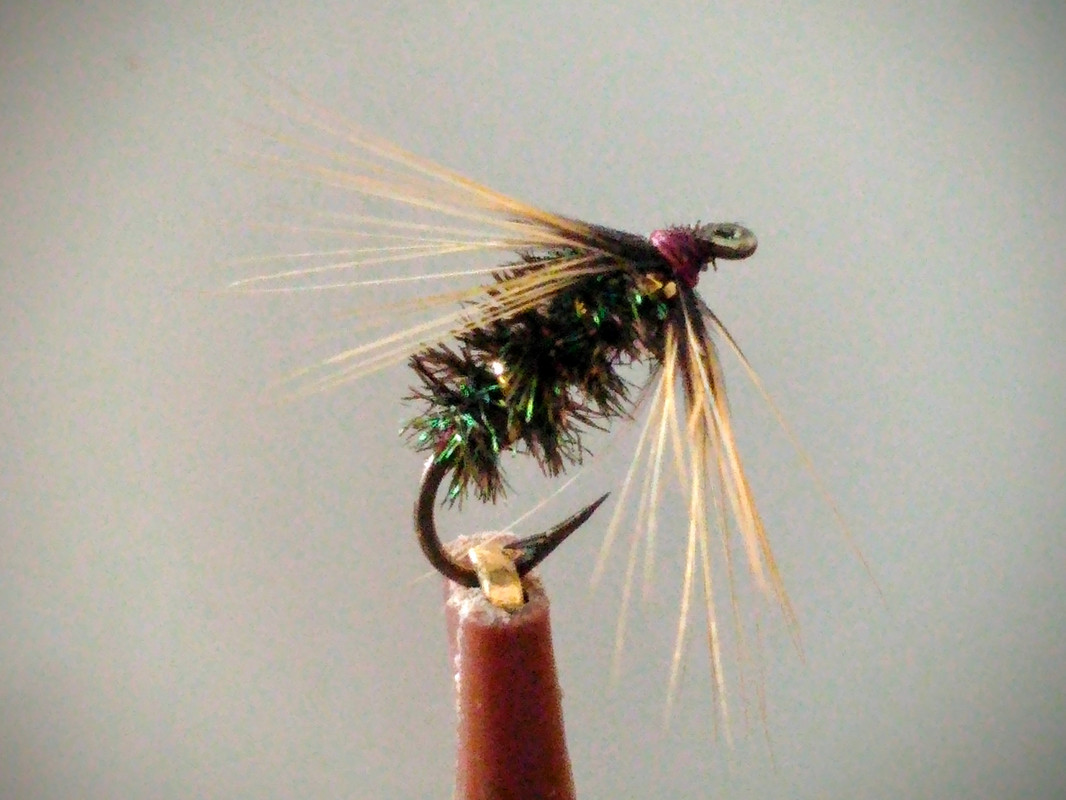 P_20200418_094458_HDR