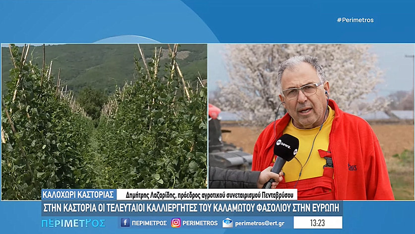 κοζάνη, ειδήσεις, νέα, Πτολεμαΐδα