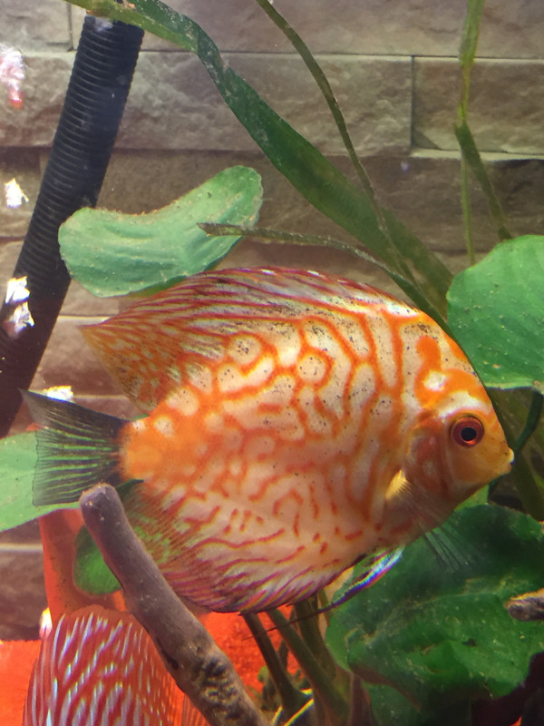 D393EC22-9BF7-4B79-968A-05A75A873C13