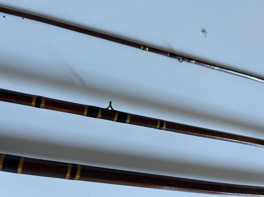 346156340_654745069809093_6476431651825958287_n