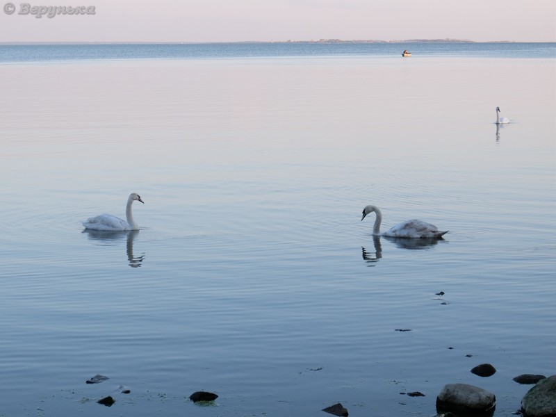 DSCF4764
