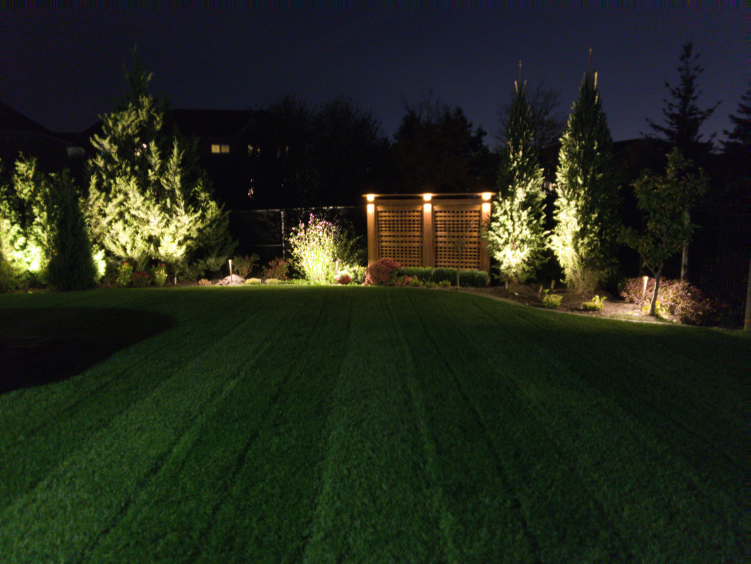 6F1265E3-C16B-4954-B2E0-571100937CCD