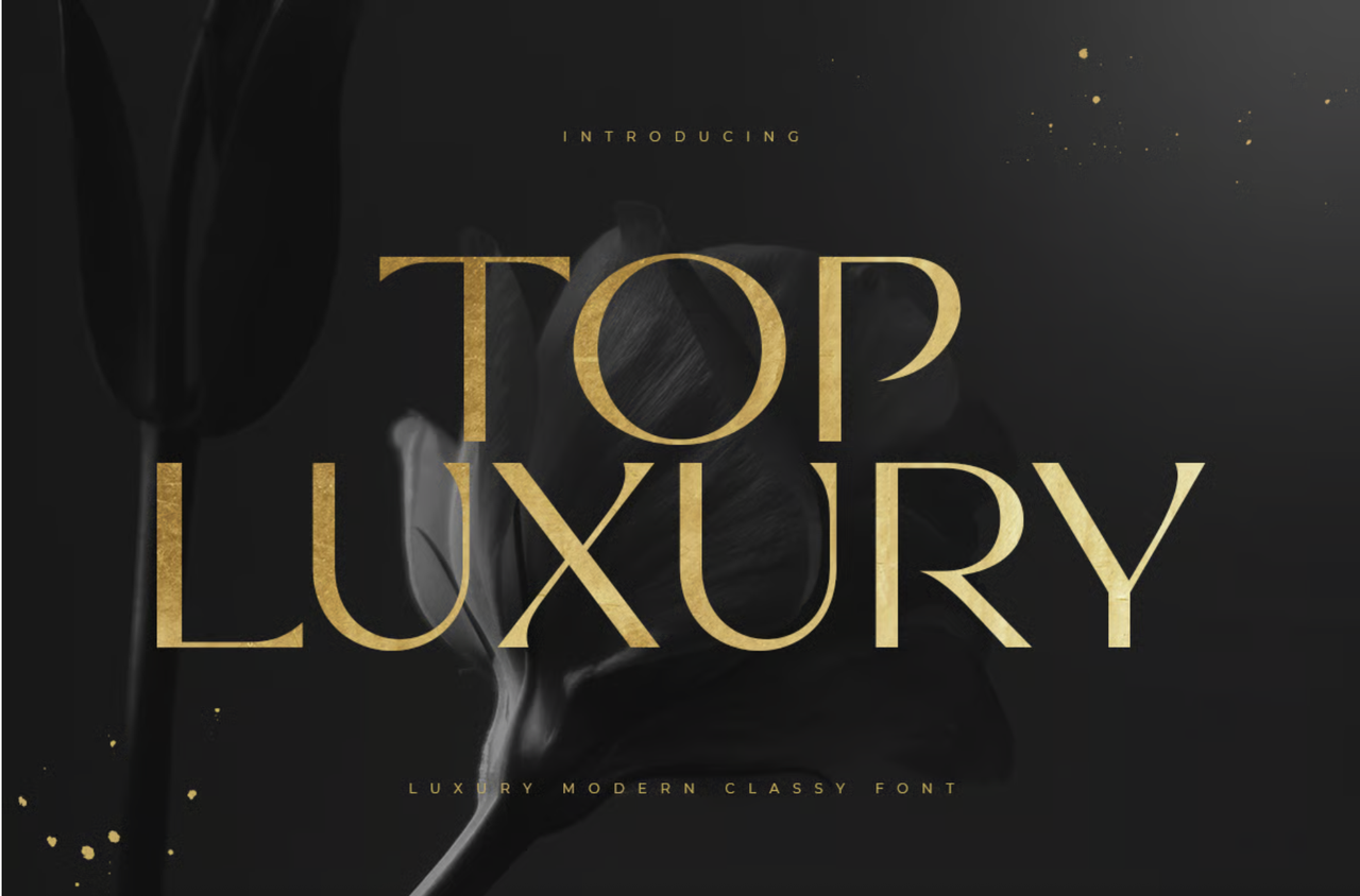 Top Luxury - Luxury Modern Classy Font