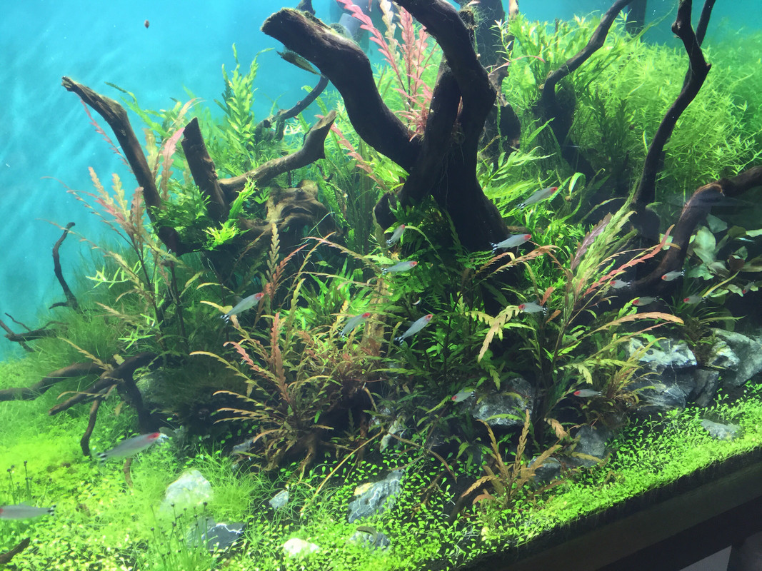 BCDA6AF9-843F-44A8-A18D-4C248F740EE6