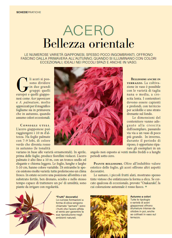 il mio Giar Ott Nov 2026 (1)