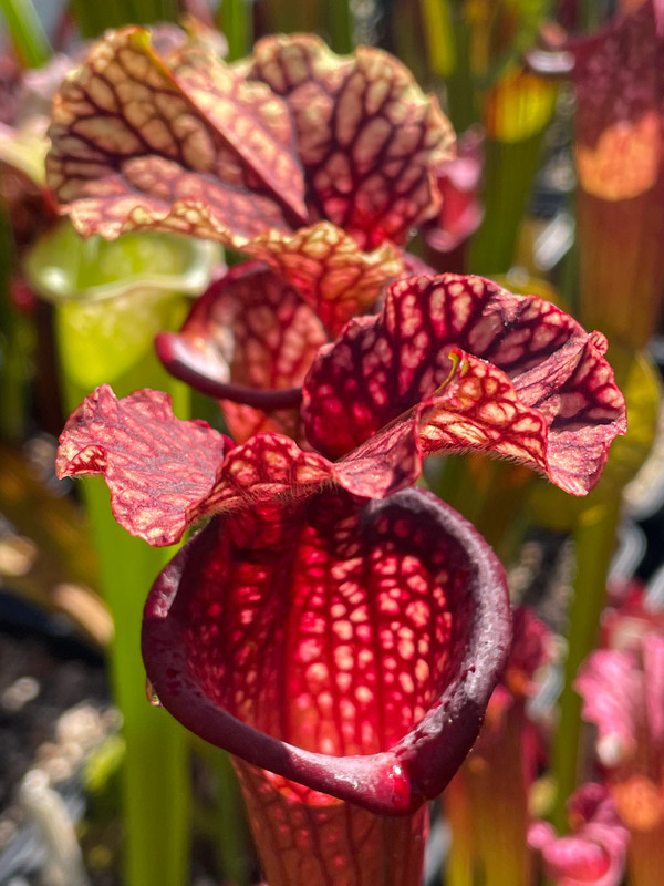 571F1706-ECD2-4BA7-93F5-CFA817B4554D