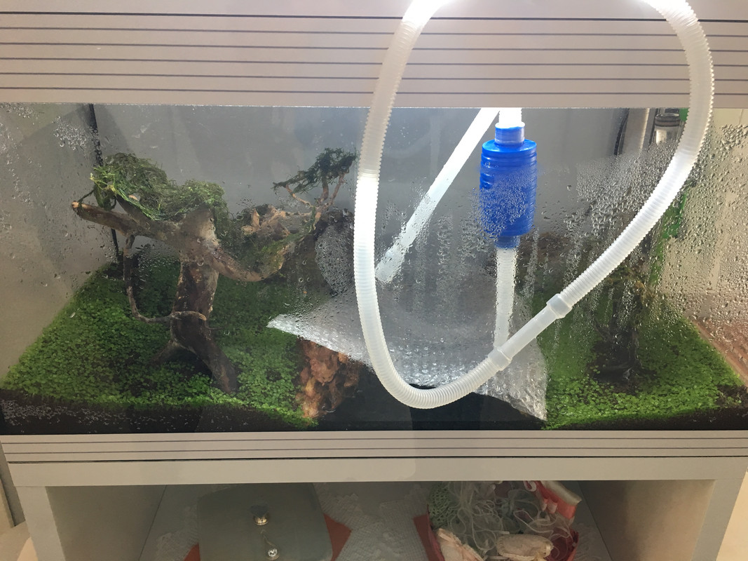 AC6DACF7-B7EE-476B-B0C3-BC85C563A6C3