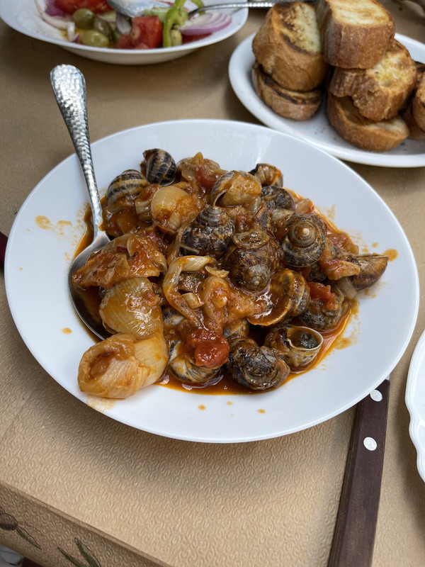 A360E5F0-CC05-43E9-ADC5-284EA3DDA3FA