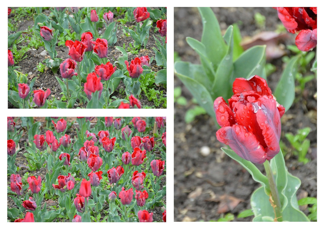 Новый коллаж.jpg 24