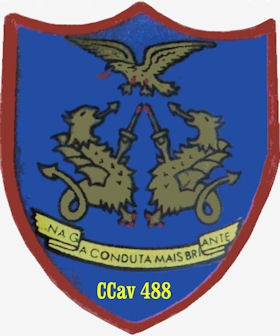 CCav488