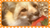 made by @transmascgarfield on tumblr