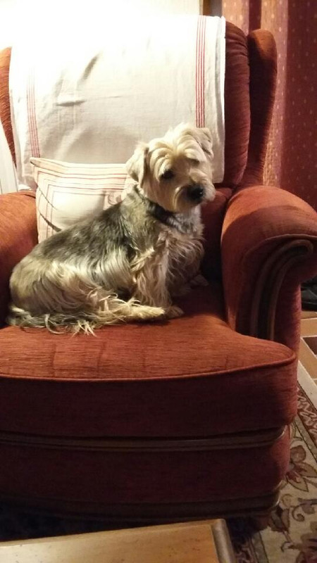 [Image: image0000001-4.jpg]