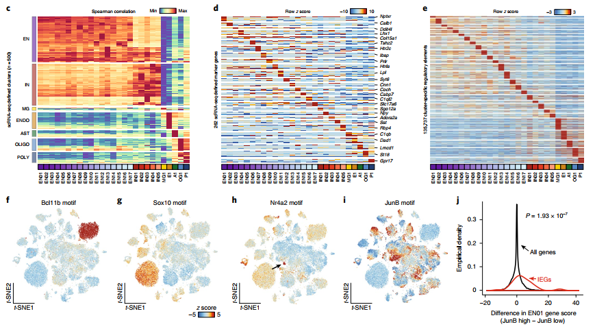 dscATAC-seq _2