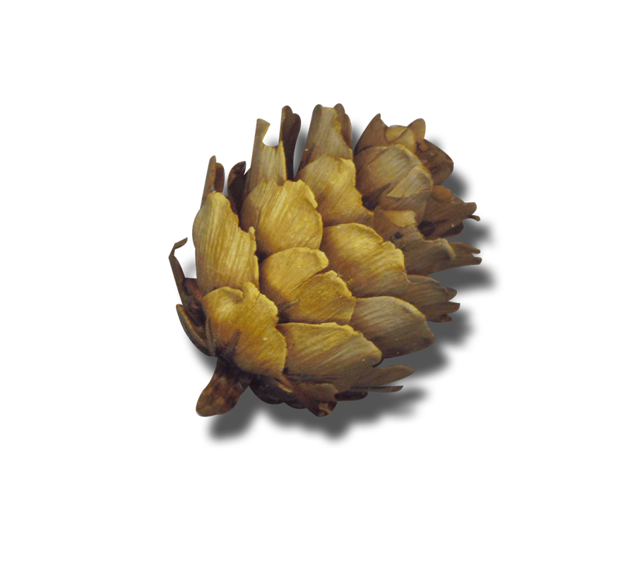 GJ_PUClusterJoyfulSnowman (7)