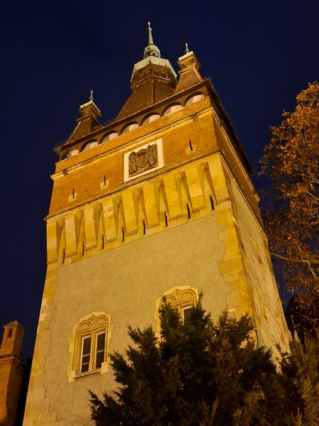 Slika