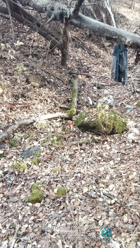 photo 12 2025 10 25 15 26 58