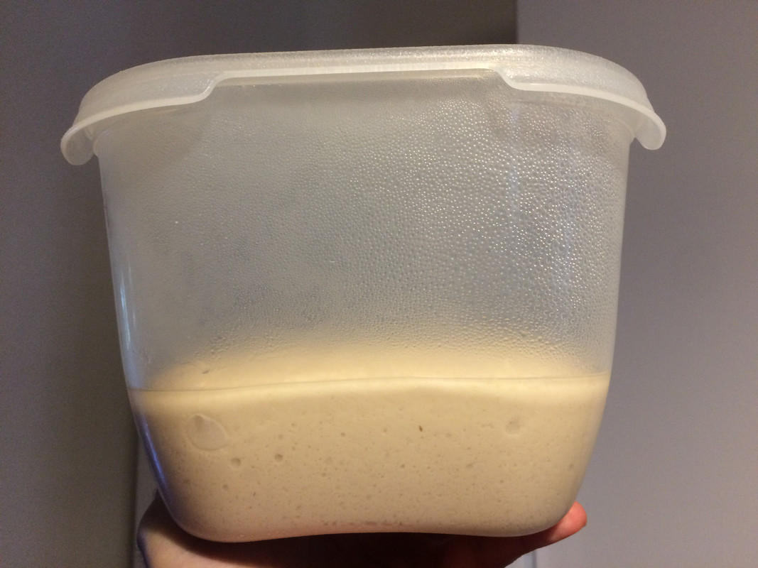 2019-04-08 12.39.20 - dopo 19hr a 4C