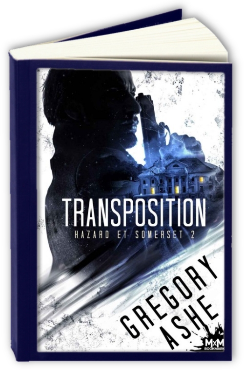 Hazard-et-Somerset-T2-Transposition-Gregory-Ashe.jpg