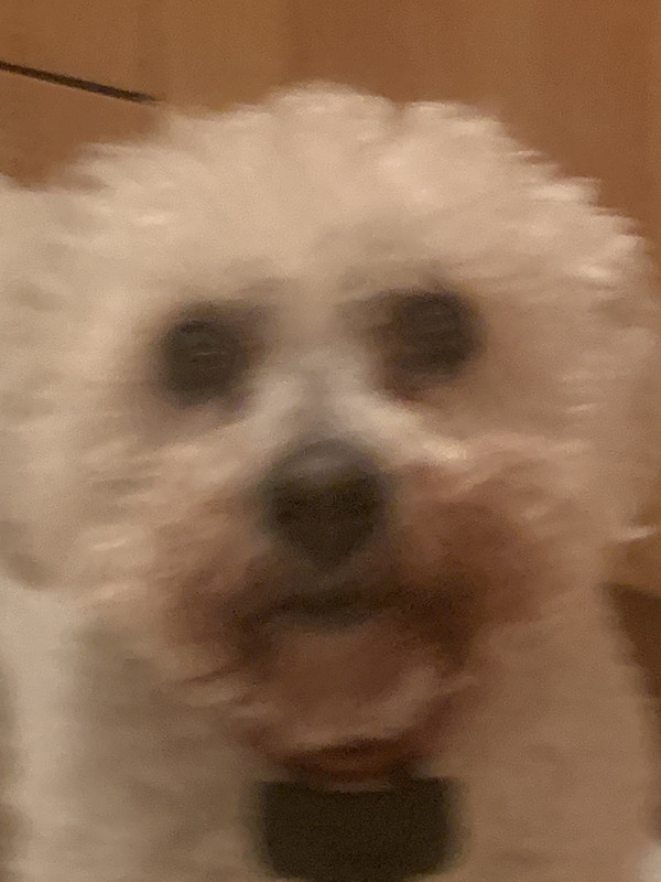 9BF94A0D-2934-4D87-8EF2-D6669DAC9AEC