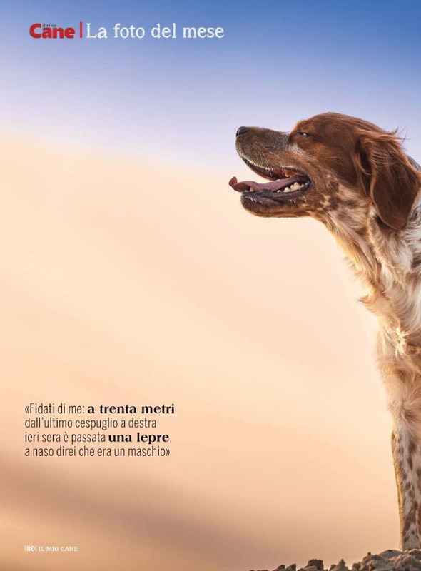 Il M C Mag 2022 (11)