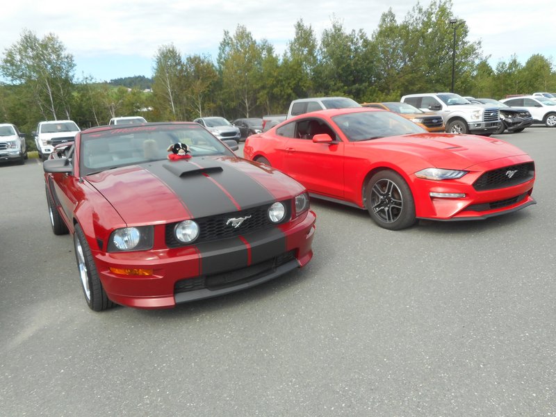 Rendez-Vous Mustang Cliche Auto Ford - 14 août 2022 Cliche2022-37