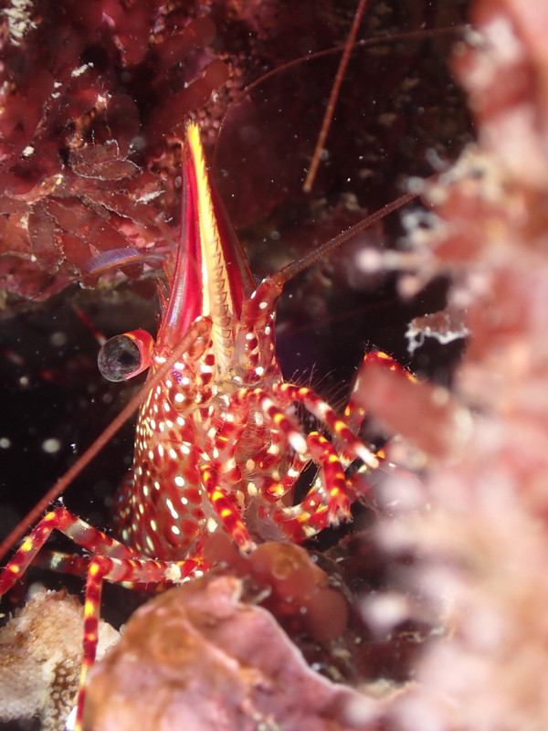 WhatsApp Image 2025-01-03 at 21.59.52 (2)