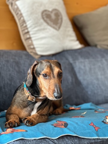 [Image: IMG-20240402-122708.jpg]