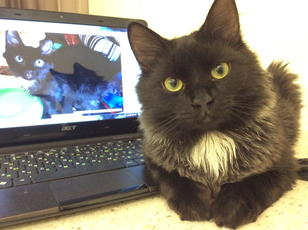 FB89F9E4-7BDF-4325-B64A-4BB475BA2BE5