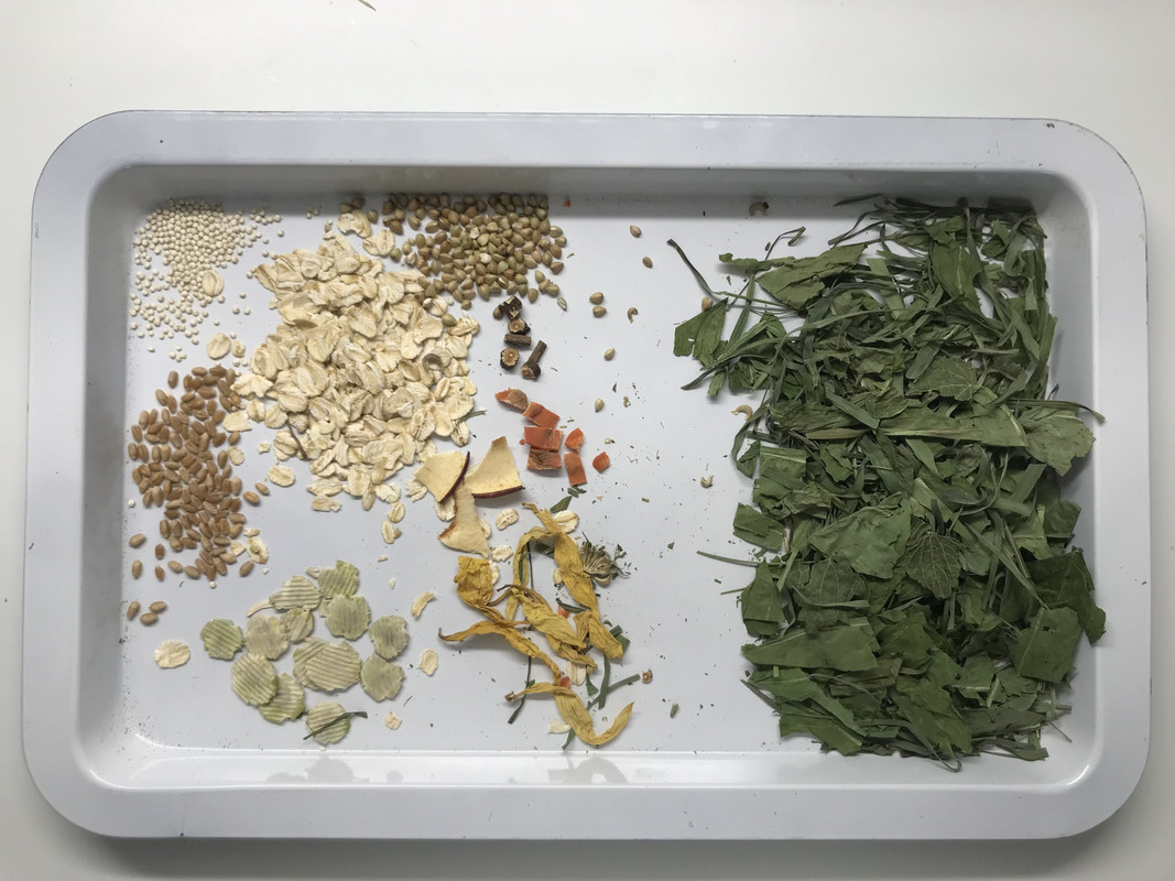 4573EA7C-8721-44F7-9D50-5CEA9E39CB3F