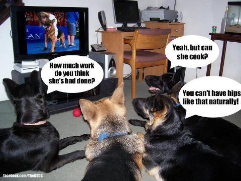 Dog Humor #2