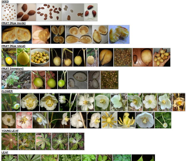 Selection_595