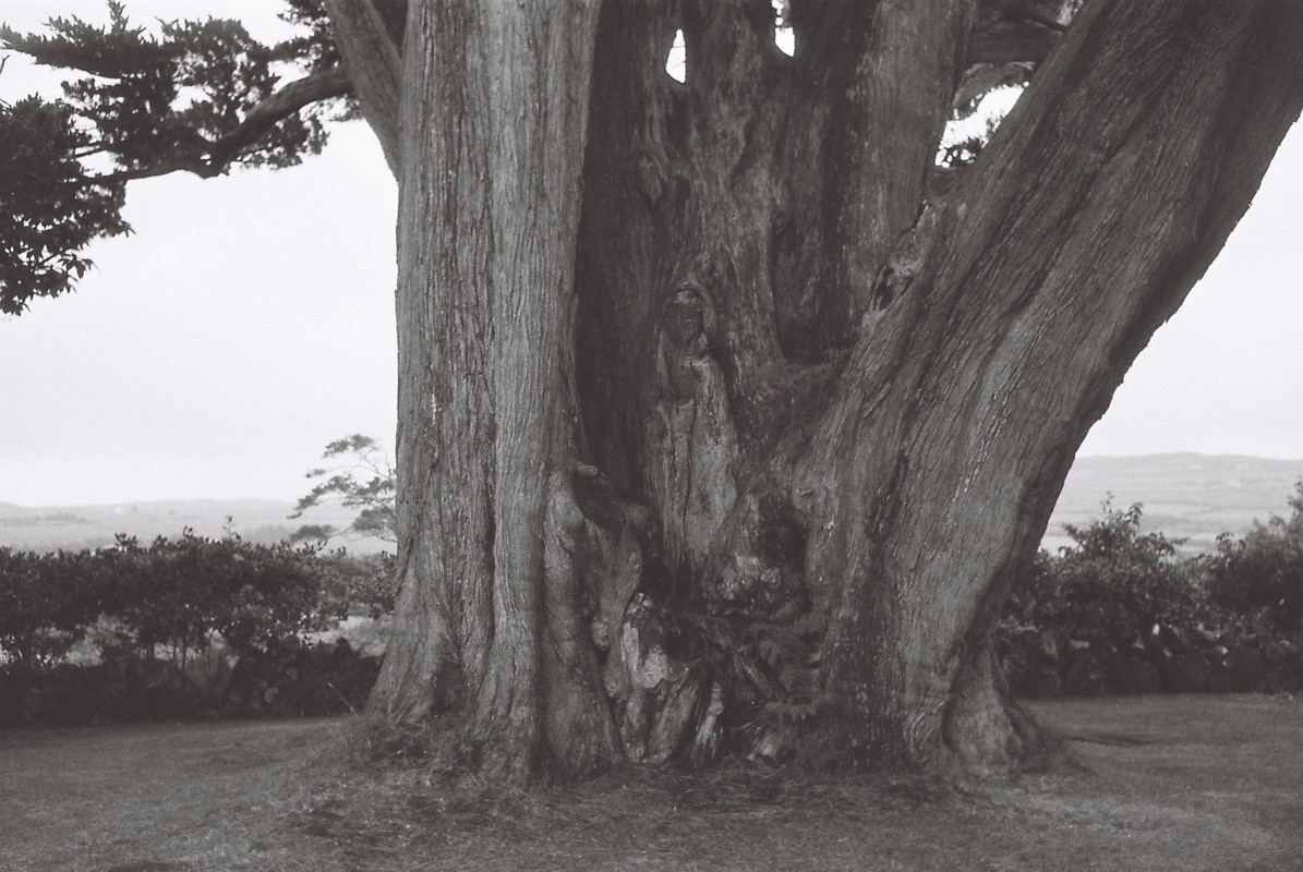 C2223932-1444-45D7-BC3D-A23189E2FA0A