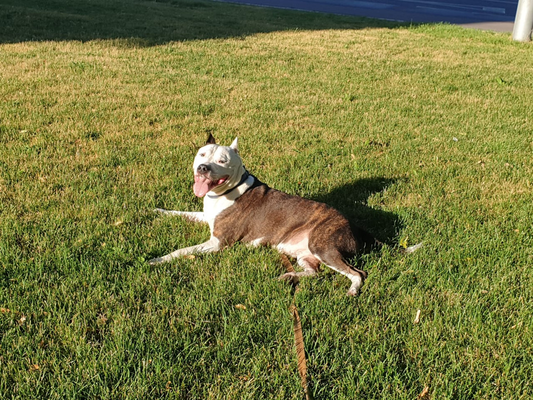 95AD99E7-4B58-4D5E-BB0C-BC333B530C11