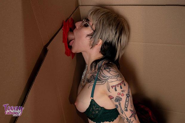 TeenyTaboo – Adalind Gray – Holiday Holes