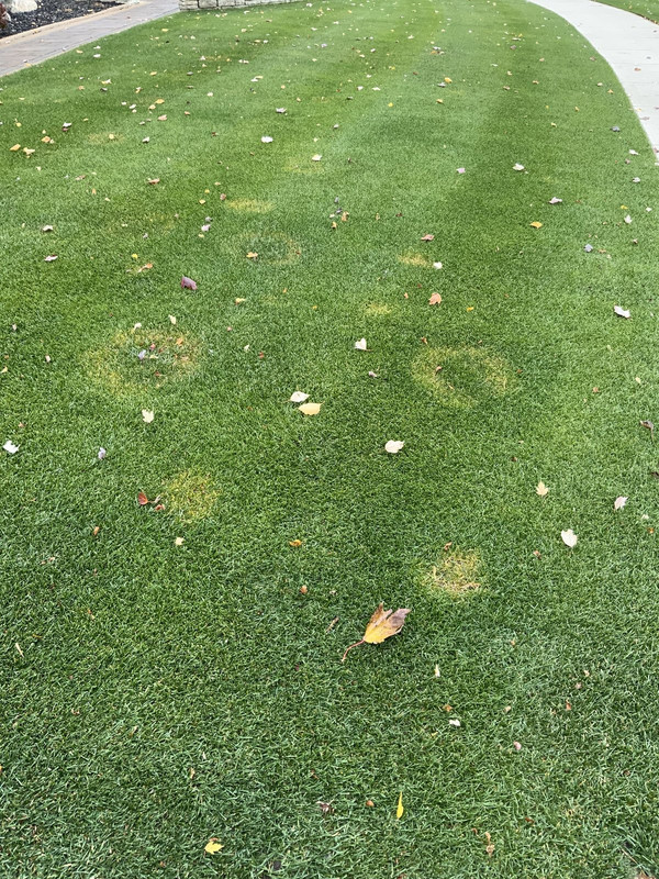 9D0246E7-AEF4-4843-82ED-569667FD9387