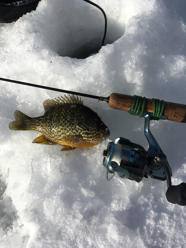 561E87B5-2C29-4C0D-9C91-5B3ABAAF012A