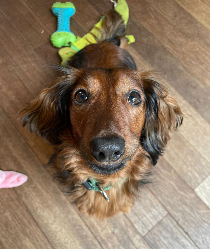 [Image: IMG-20240228-WA0025.jpg]