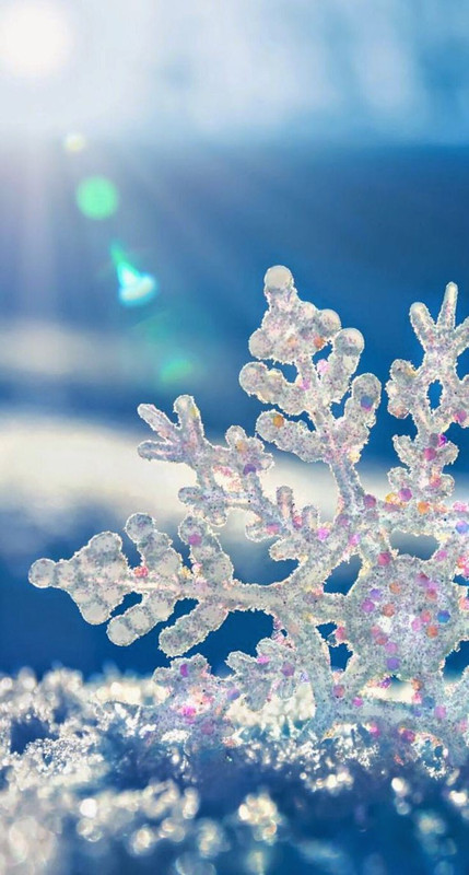 6ed8978fd88a214c6c4cd0be0af51f1c