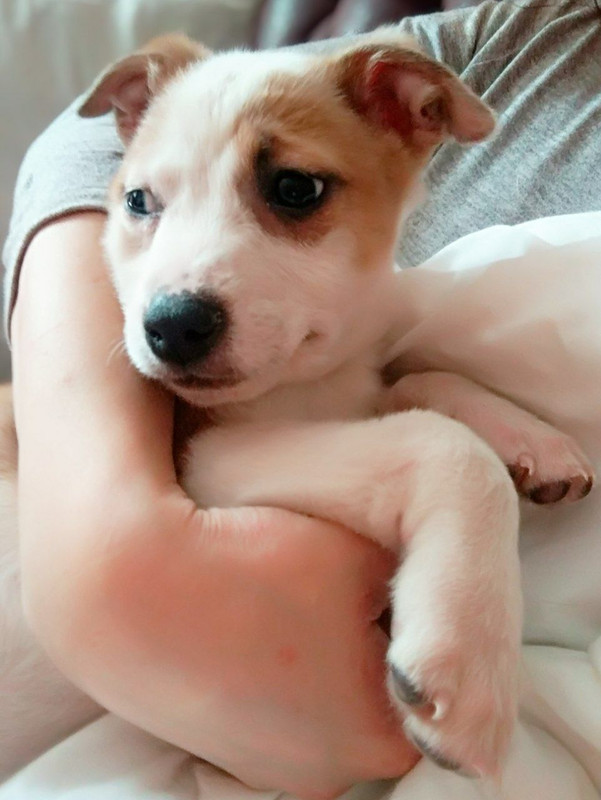 EBCC2AED-8D31-405B-AD42-9DBDA828E11E