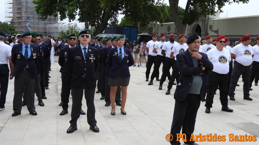 505516562-2426595097722667-2821477840124531632-n