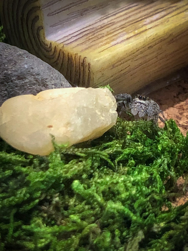 1316F1A0-7A50-44CD-A506-E32D126A0667