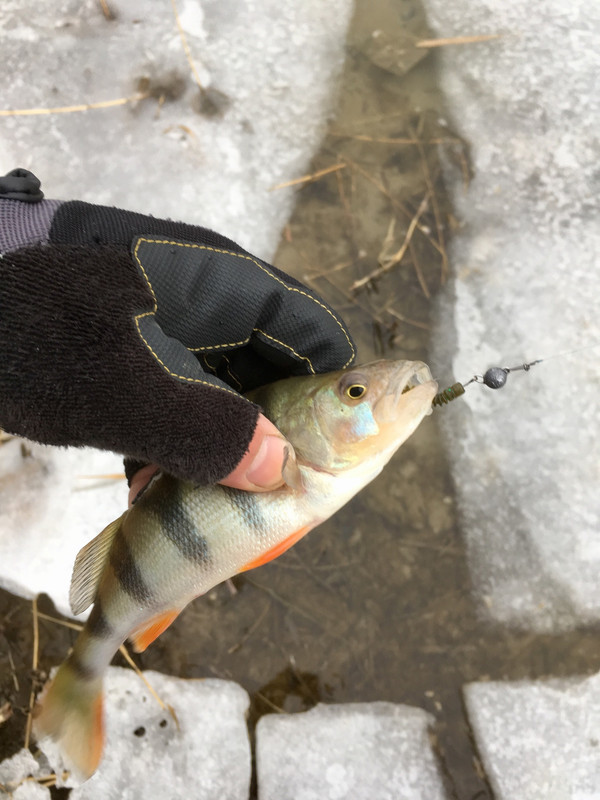 99751E29-E33A-4B43-840B-604B257890B8