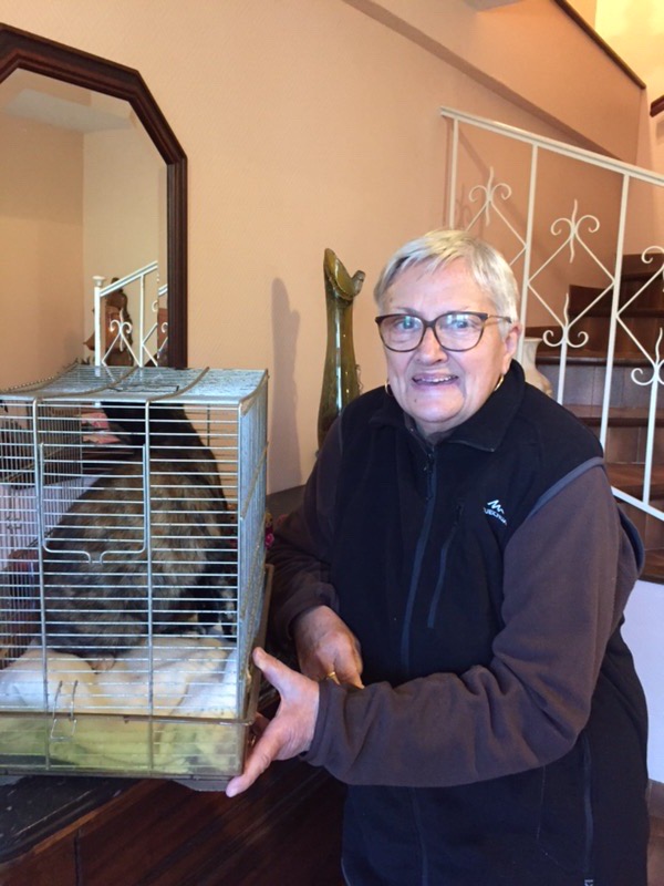 2ABC3032-70B8-4597-AAAF-312E15ABE0F7