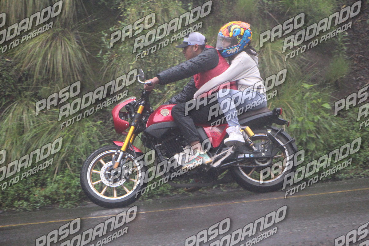 IMG 2330 wm 251433 40000000037 watermarked — Postimages