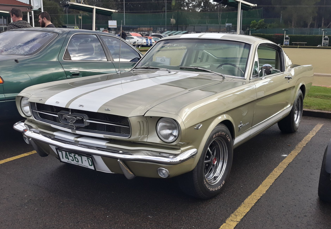 60687050_10156134010022256_1088343024884252672_o